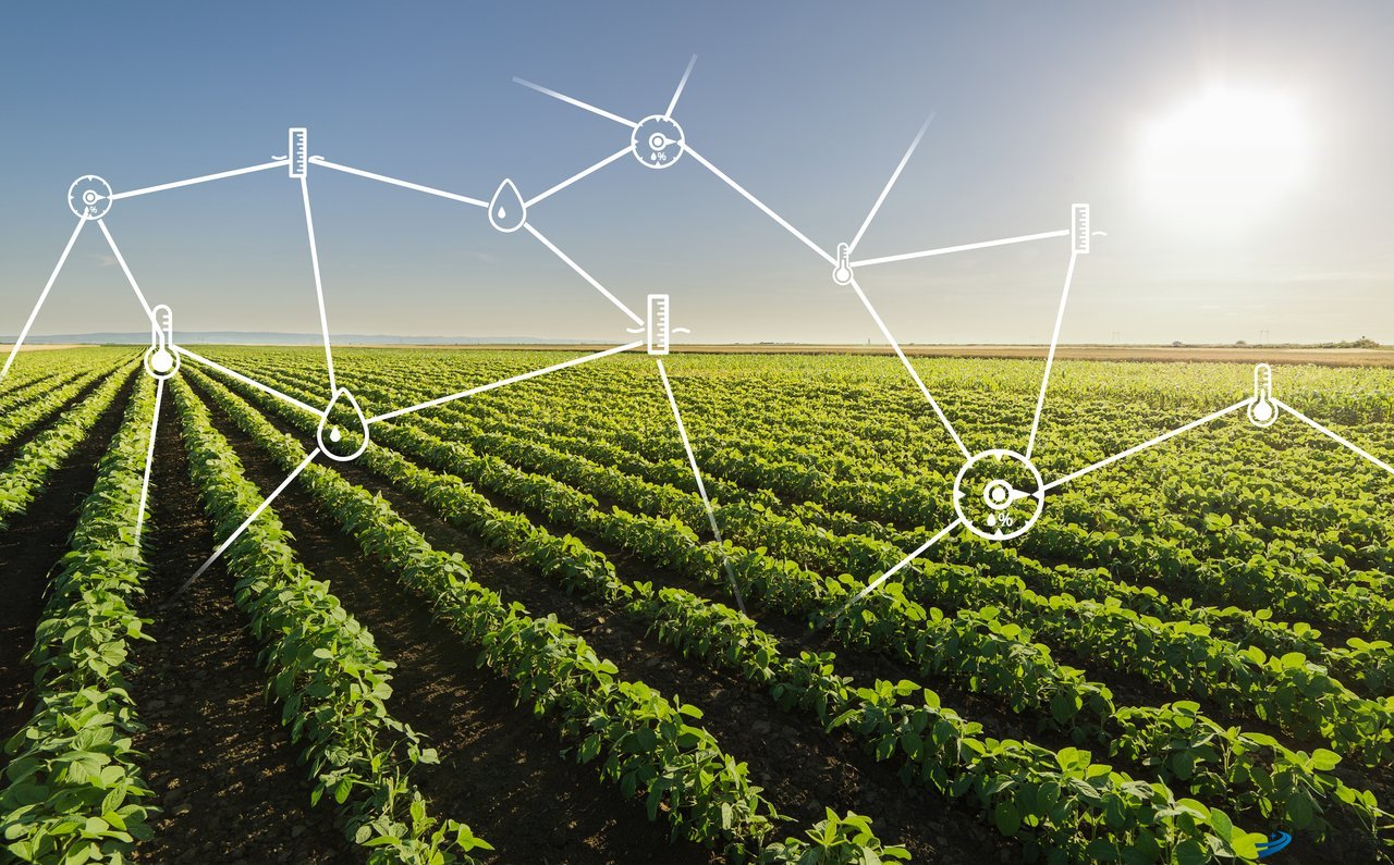 智慧农业,物联网产业,农业物联网,物联网平台定制,物联网农业
